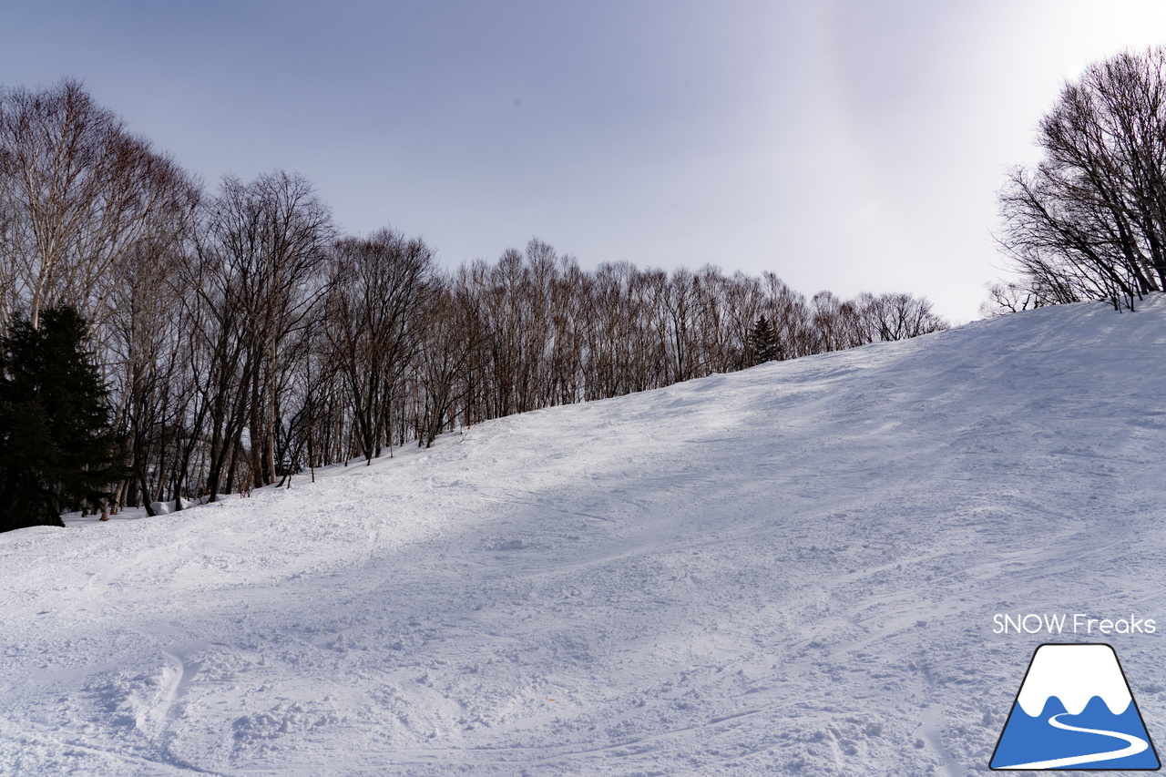 キロロリゾート｜今日の山頂積雪は「340cm」！ビシッと締まったロングコースで快適クルージングが楽しい１日♪